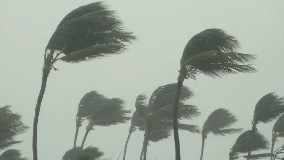 Cyclone