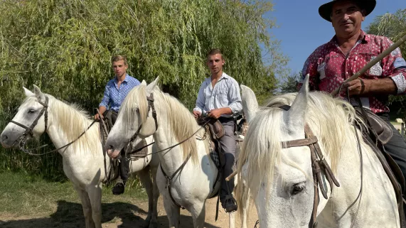 Ô la belle vie - Fière et intrépide, la petite Camargue  Ô la belle vie - Fière et intrépide, la petite Camargue