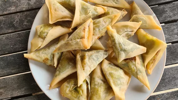 LGDR -  samoussas à la spiruline 