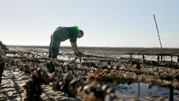 Quand le travail rend malade