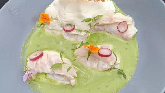 Le goût des rencontres en Nouvelle-Aquitaine 