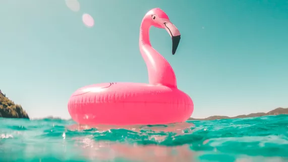 Bouée flamant rose
