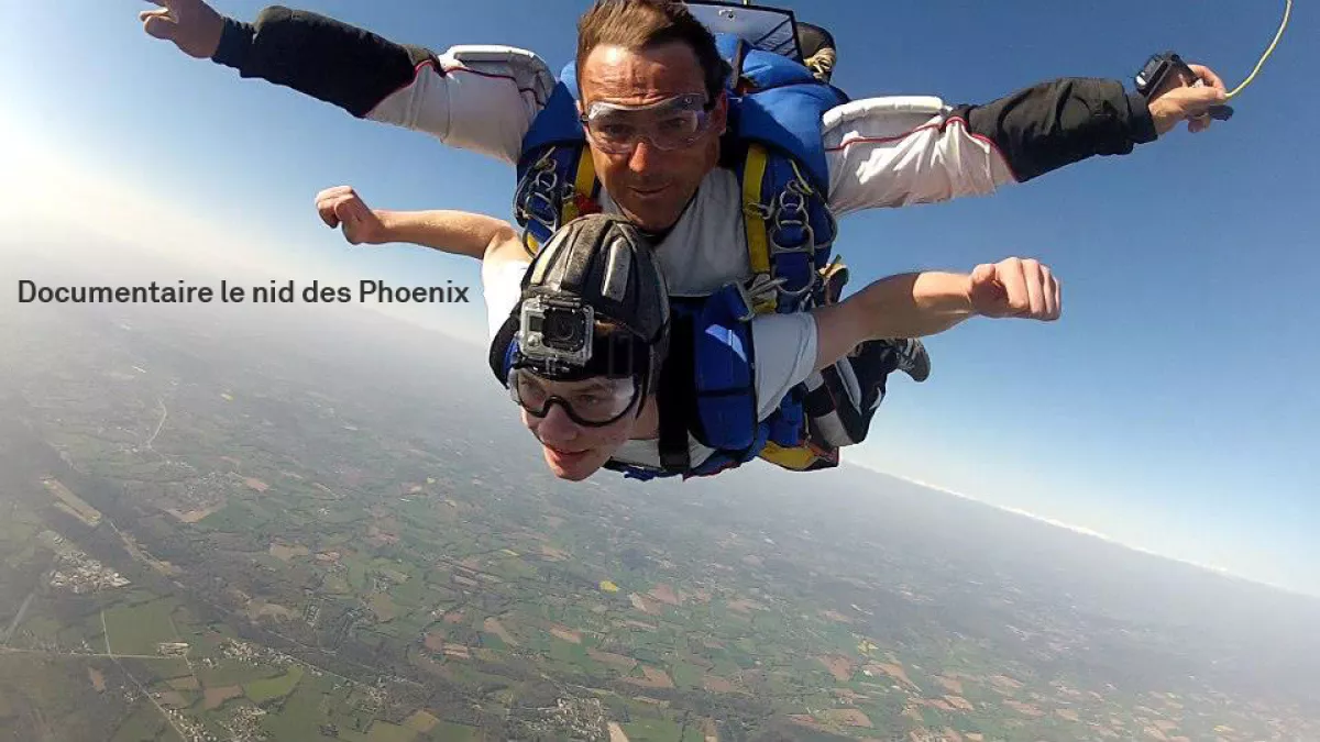 Documentaire "le nid des Phoenix" Documentaire "le nid des Phoenix"