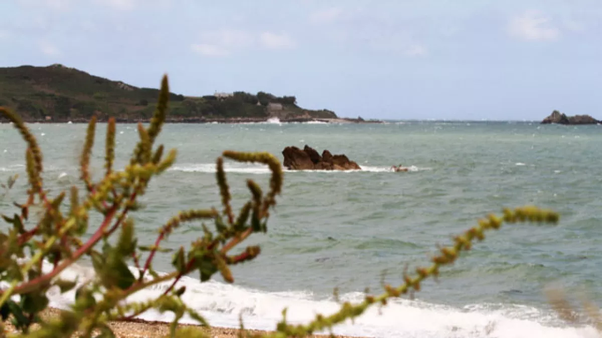 La petite Irlande La petite Irlande