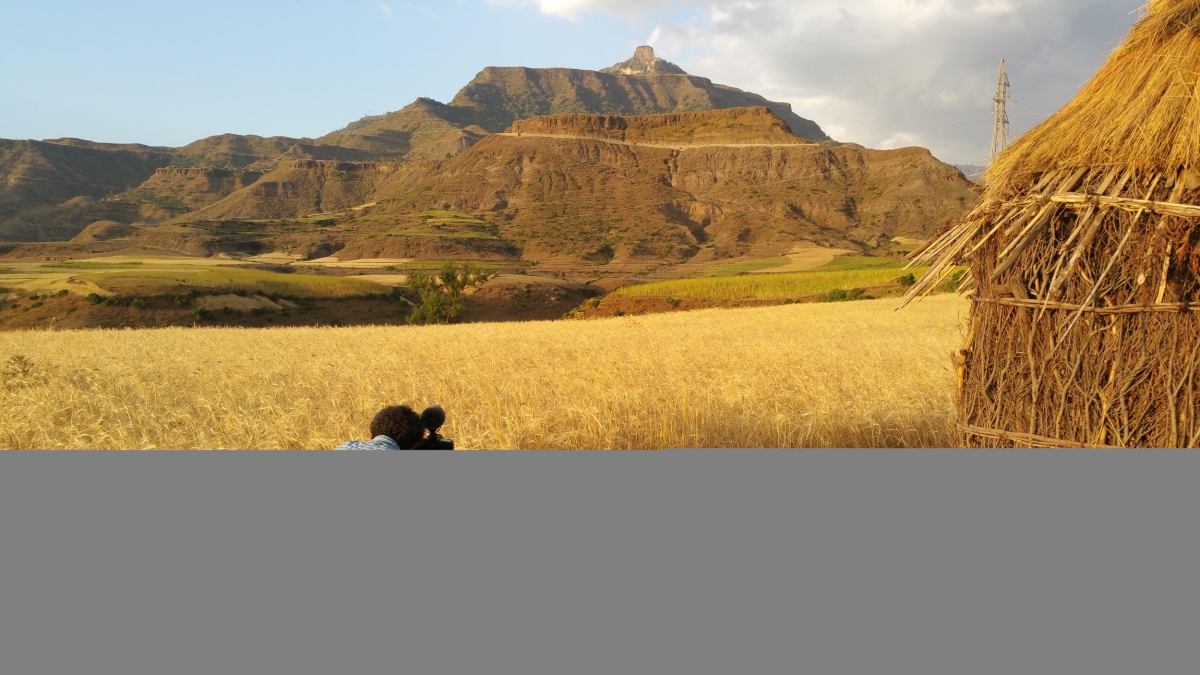© BO TRAVAIL ! ETHIOPIE, LE PAYS DES ORIGINES