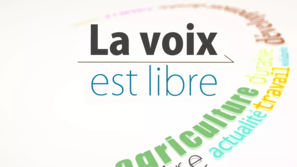 logo de la voix est libre logo de la voix est libre