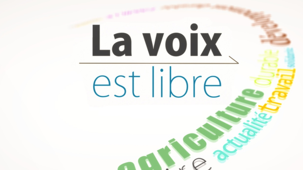 logo de la voix est libre