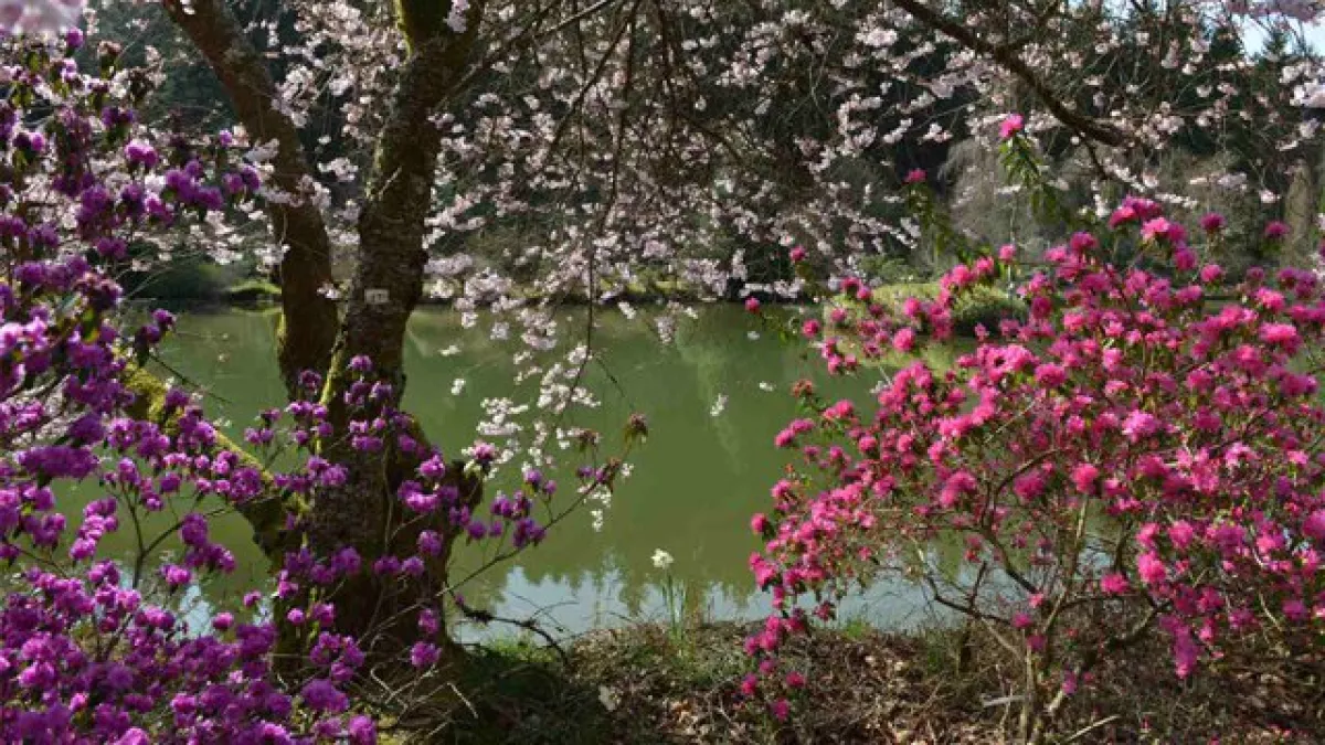 PCPL Les jardins extraordinaires des Vosges - crédit Victor Images PCPL Les jardins extraordinaires des Vosges
