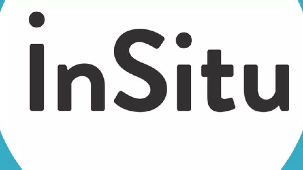 Logo Insitu FTV Logo Insitu FTV