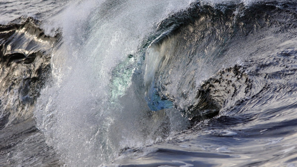 © BBC Worldwilde France CAP SUR L'ATLANTIQUE