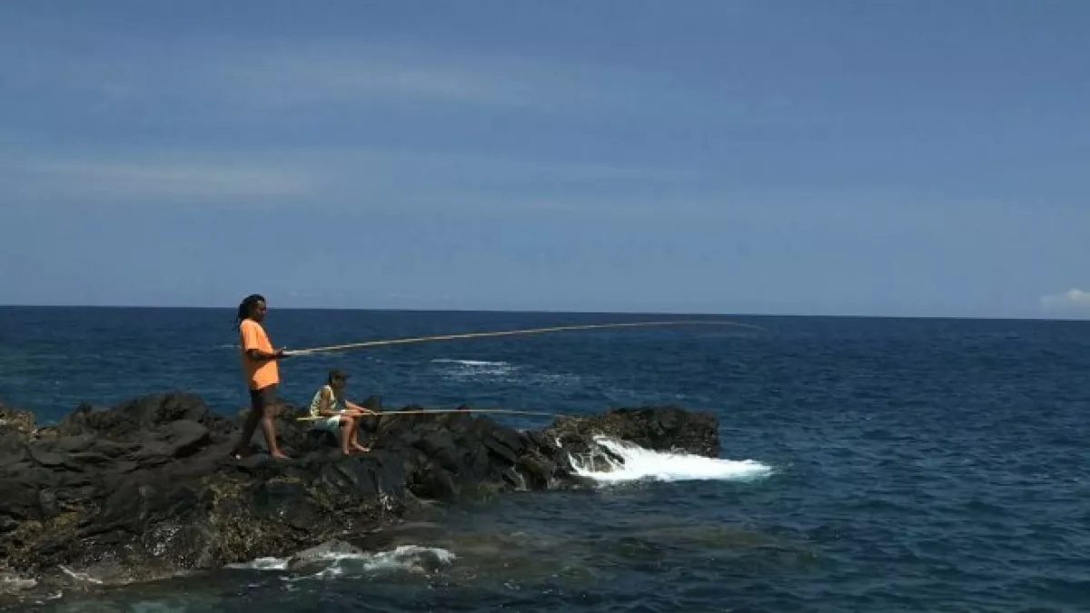 Archipels : le jour de la carangue archipels