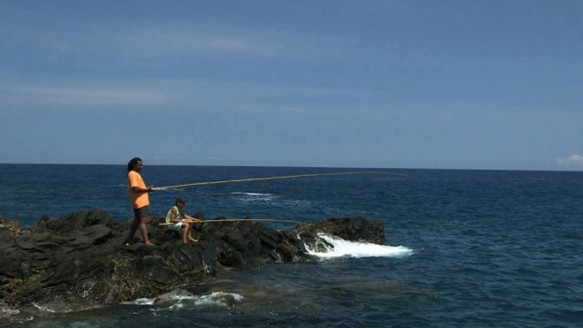 Archipels : le jour de la carangue archipels