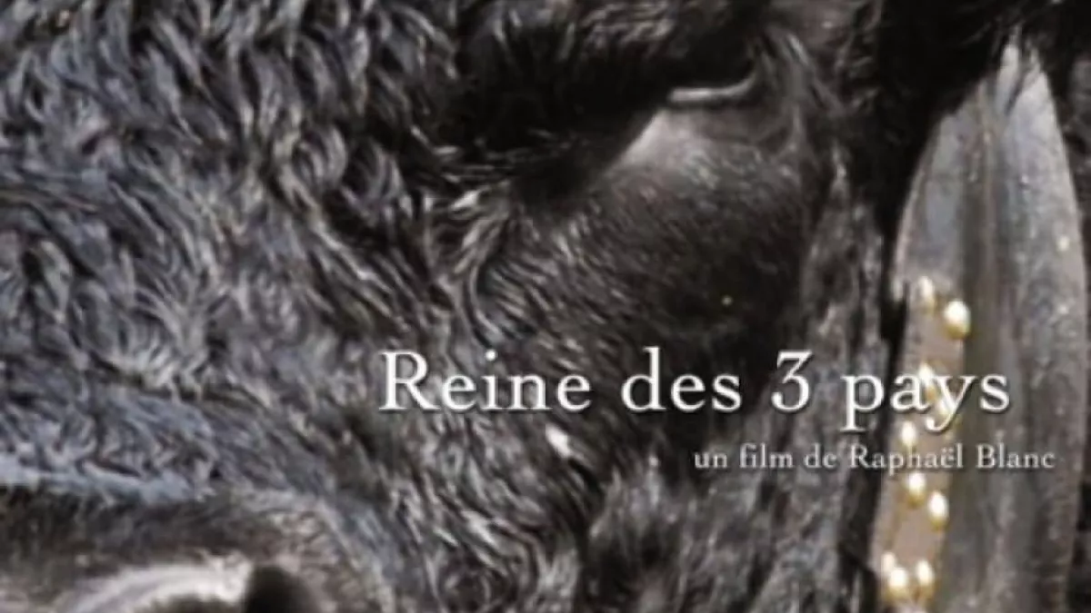 Doc REINES DES 3 PAYS Doc REINES DES 3 PAYS