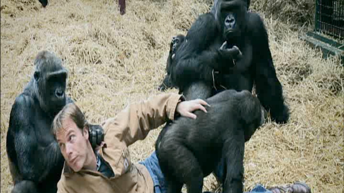 © Oxford Scientifique Films COMPLICITES ANIMALES