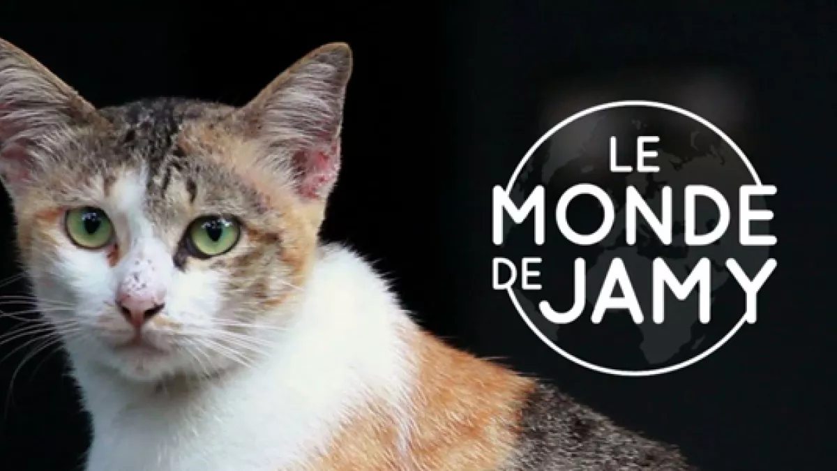 LE MONDE DE JAMY image le monde de Jamy
