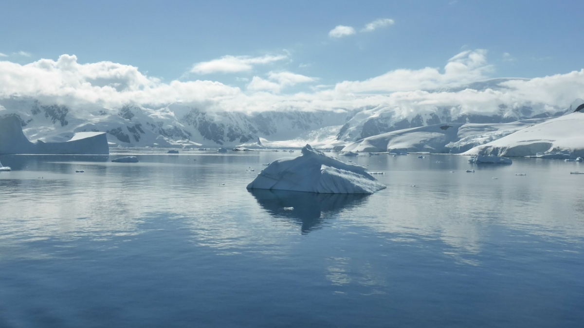 icebergs icebergs