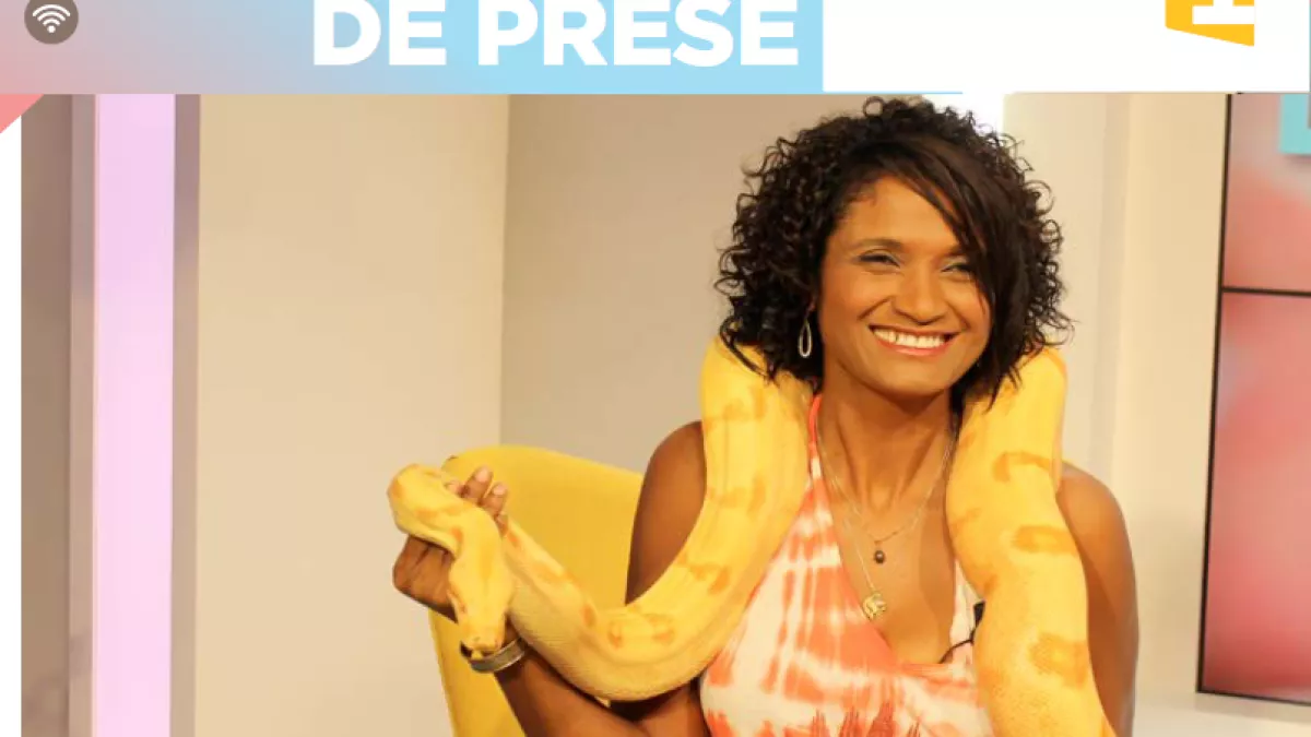 DIS MOI TOUT LE RENDEZ-VOUS DES RÉUNIONNAIS AVEC ROCAYA SUR REUNION1ERE DIS MOI TOUT LE RENDEZ-VOUS DES RÉUNIONNAIS AVEC ROCAYA SUR REUNION1ERE