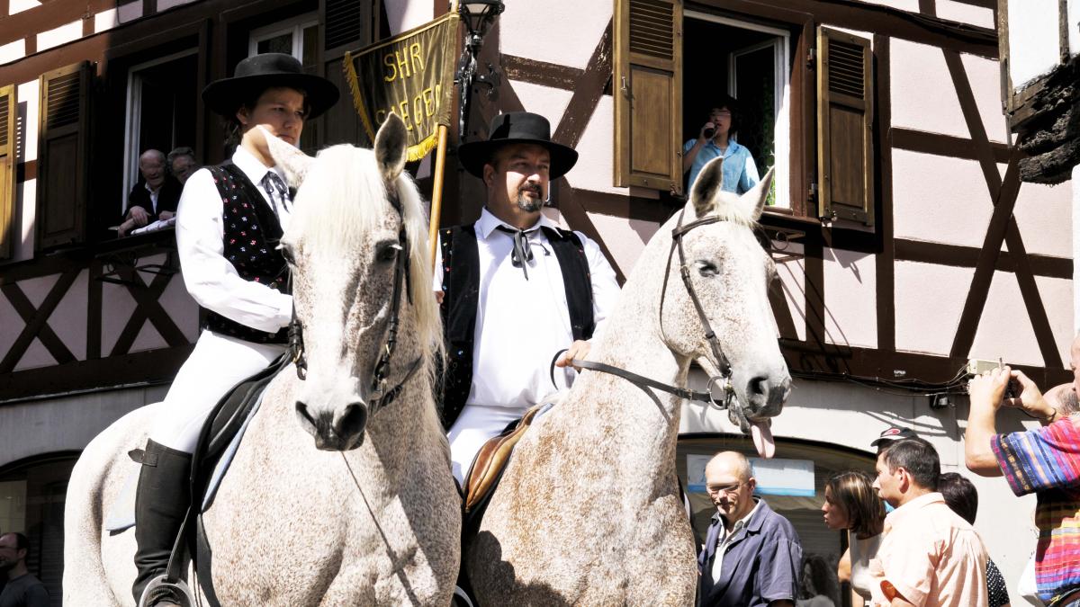 PCPL Wissembourg, les chevaux à la fête