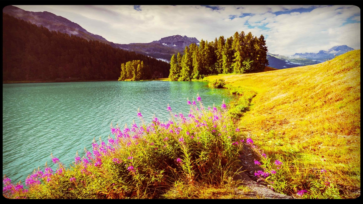 Eté 2016, paysage de lac de montagne sous le soleil