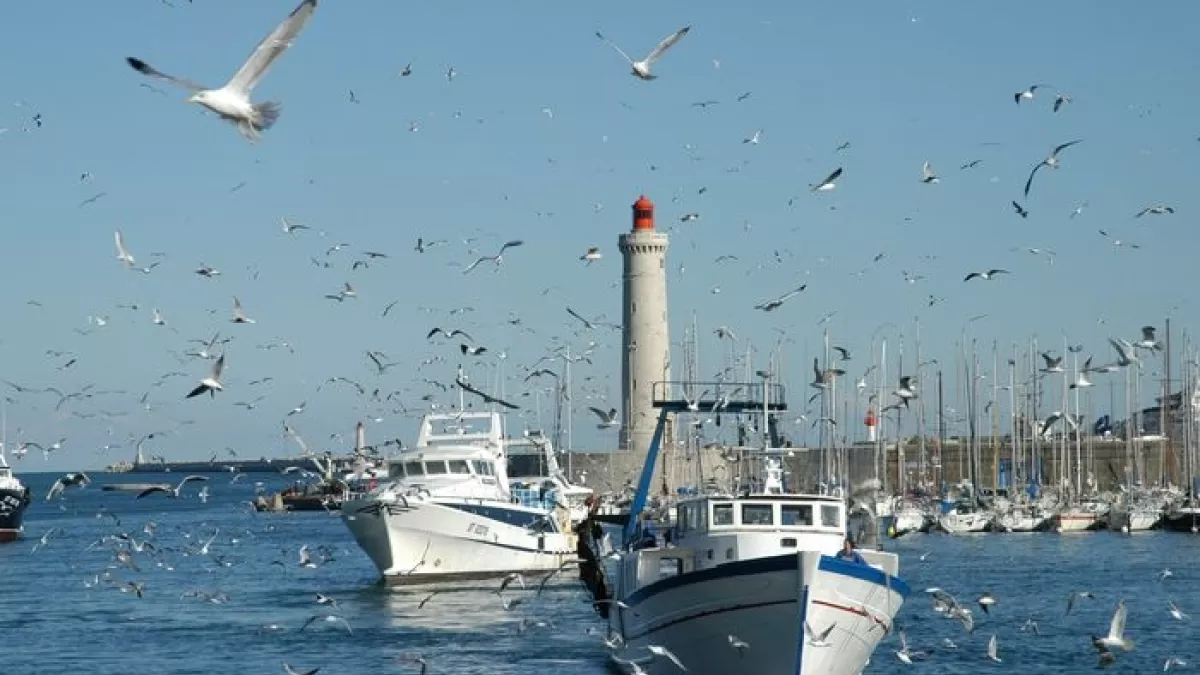 ©Mille et une productions/ bateau de pêche bateau de pêche