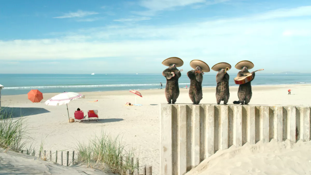 Marmottes Mariachi