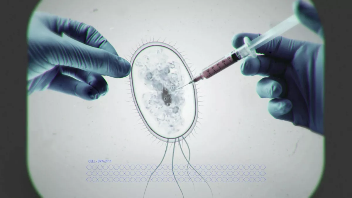 © La Compagnie des Taxis-Brousse BIOLOGIE 2.0