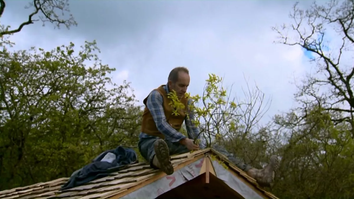 La cabane de mes rêves Des materiaux de choix