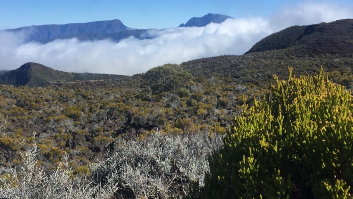 Piton des neiges à la Réunion