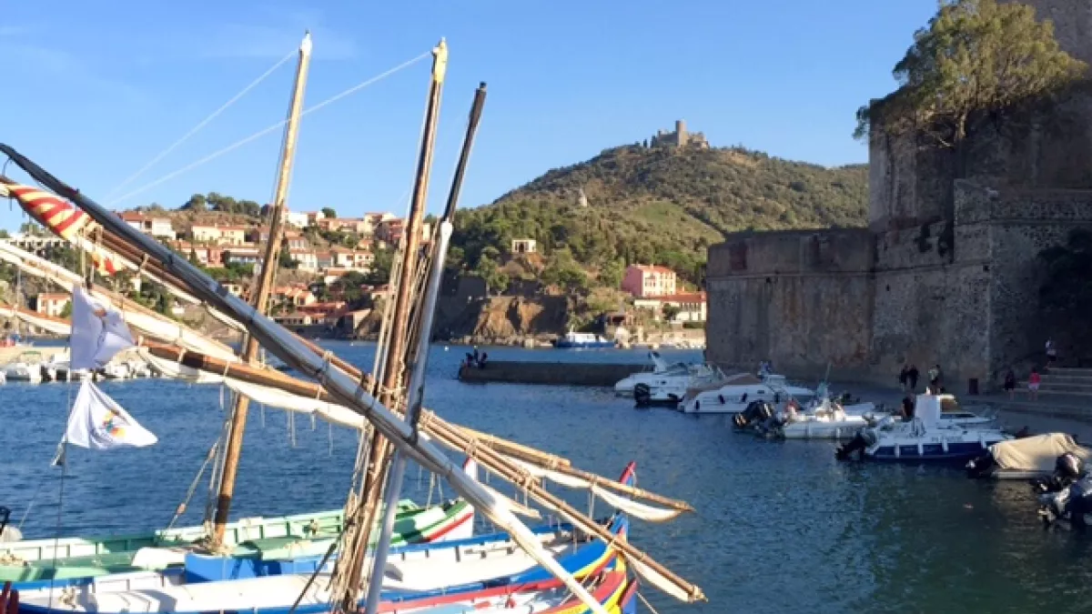 Port de Collioure ©FG-EDR-sep 2016-Port de Collioure