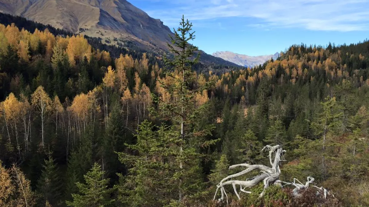 Les contamines Les contamines