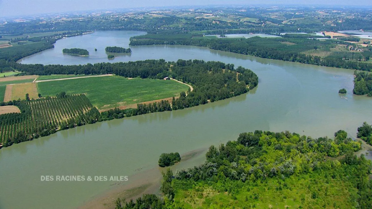 DES RACINES ET DES AILES : DE L'ATLANTIQUE A LA MEDITERRANEE, AU FIL DE LA GARONNE ET DU CANAL DU MIDI DES RACINES ET DES AILES : DE L'ATLANTIQUE A LA MEDITERRANEE, AU FIL DE LA GARONNE ET DU CANAL DU MIDI