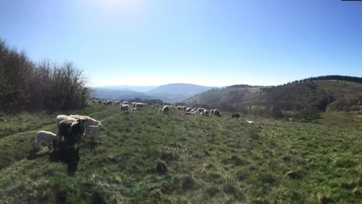 Corrèze
