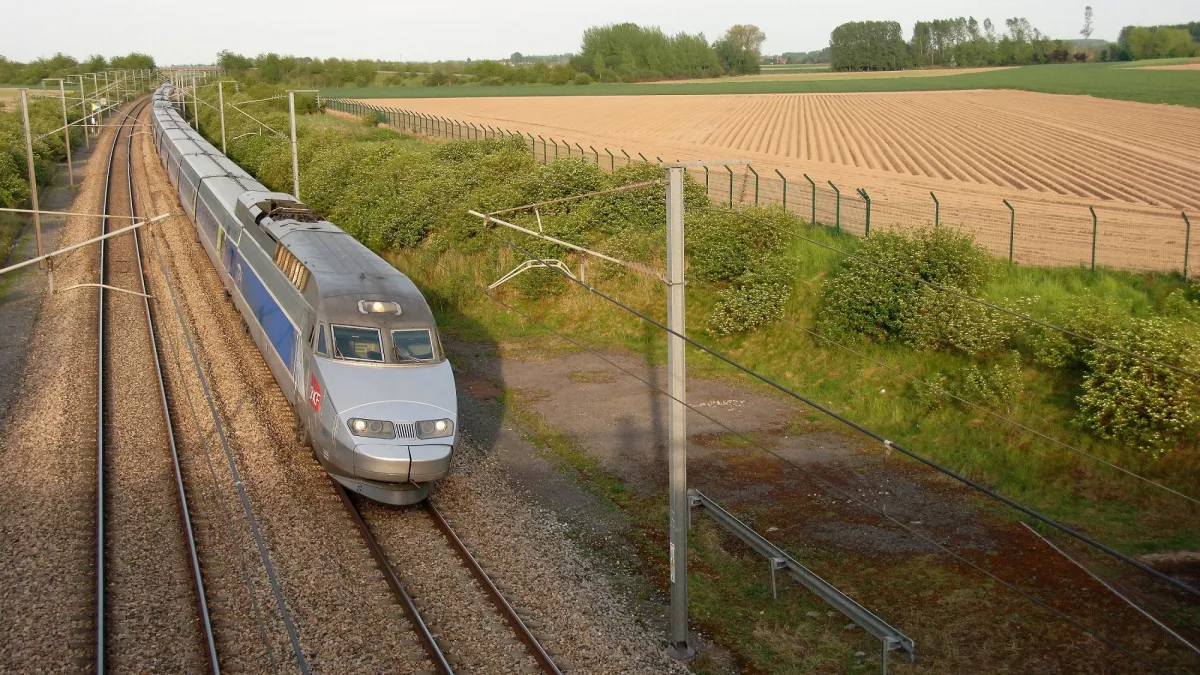 Train Train