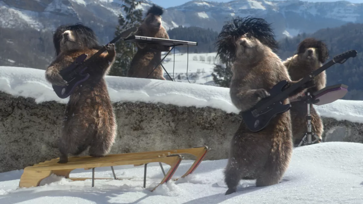 Les Marmottes New Age Les Marmottes New Age