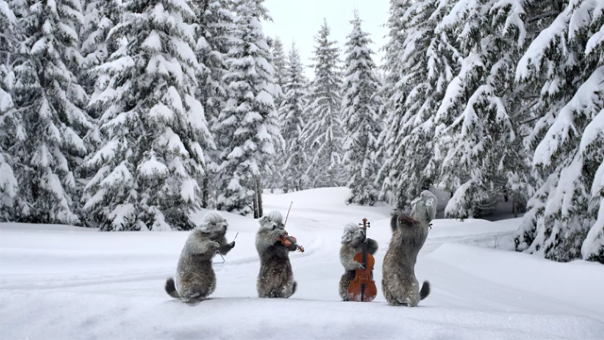 Marmottes Marmottes
