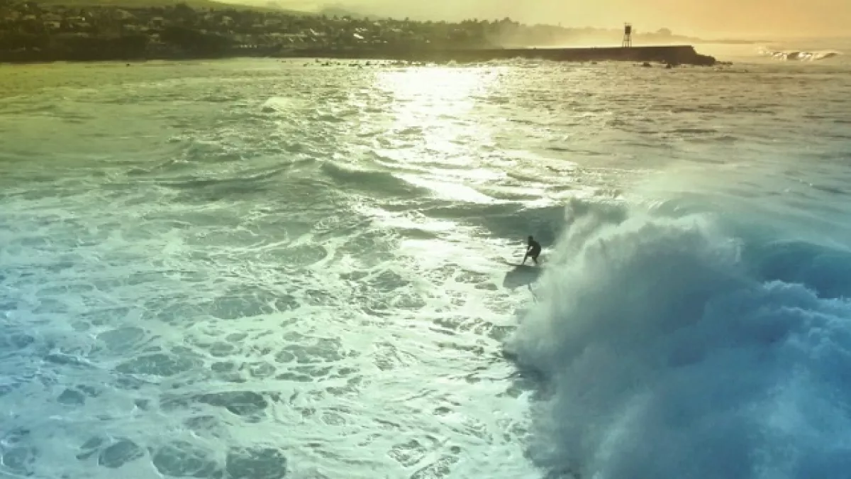 SURF QUI PEUT ! SURF QUI PEUT !