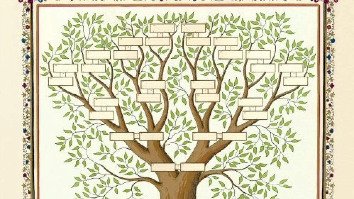 GsunTheim et la généalogie Arbre généalogique