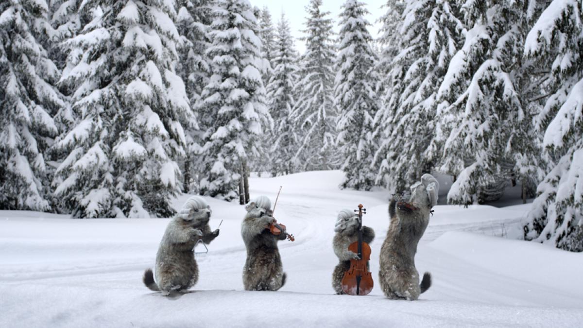 Les marmottes dans la neige