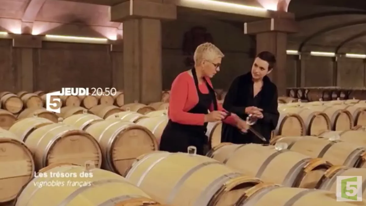 Les Trésors des vignobles français