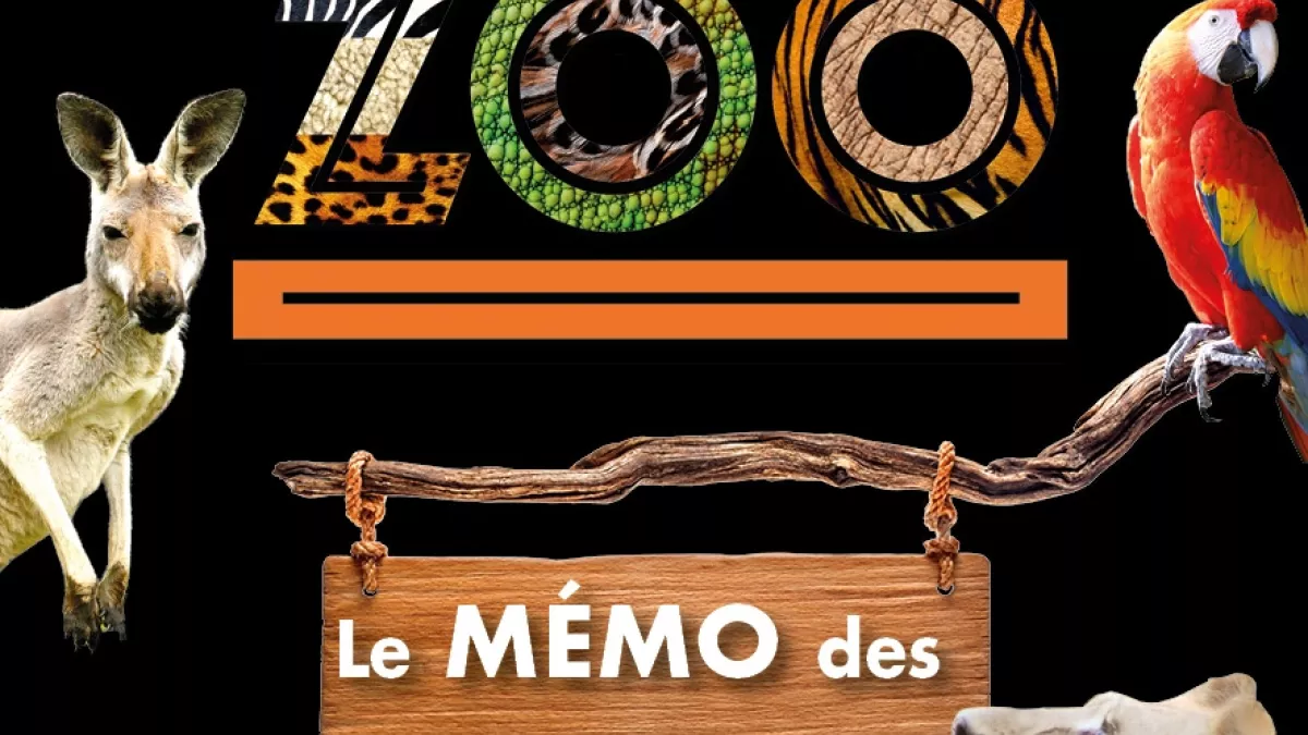 Le mémo des animaux - Une saison au zoo Le mémo des animaux - Une saison au zoo