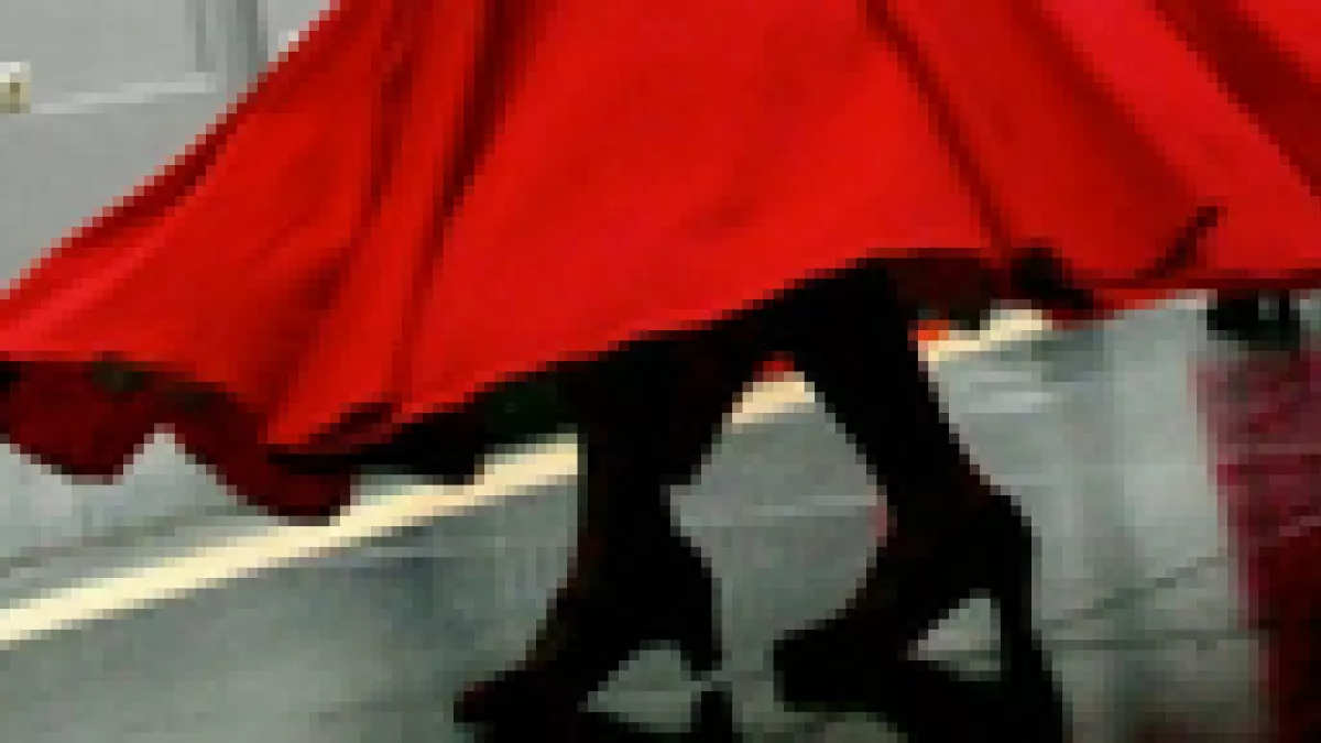 DANSEUSE FLAMENCO -© CC.Lieven Soete DANSEUSE FLAMENCO -© CC.Lieven Soete