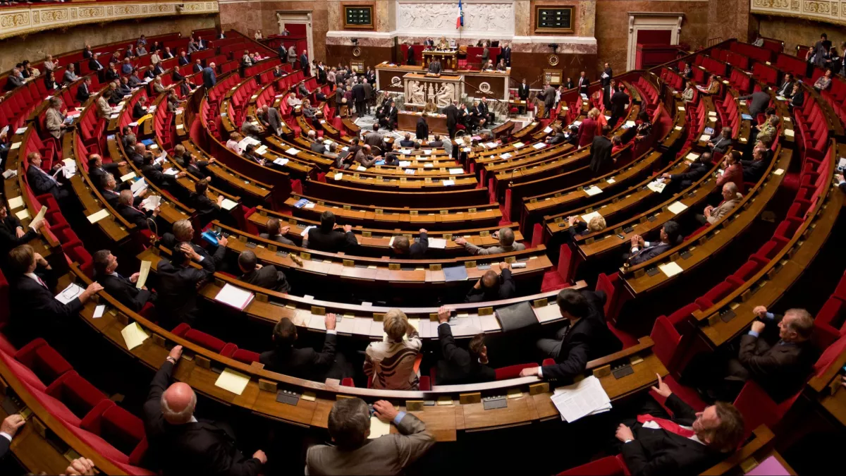 sznat senat