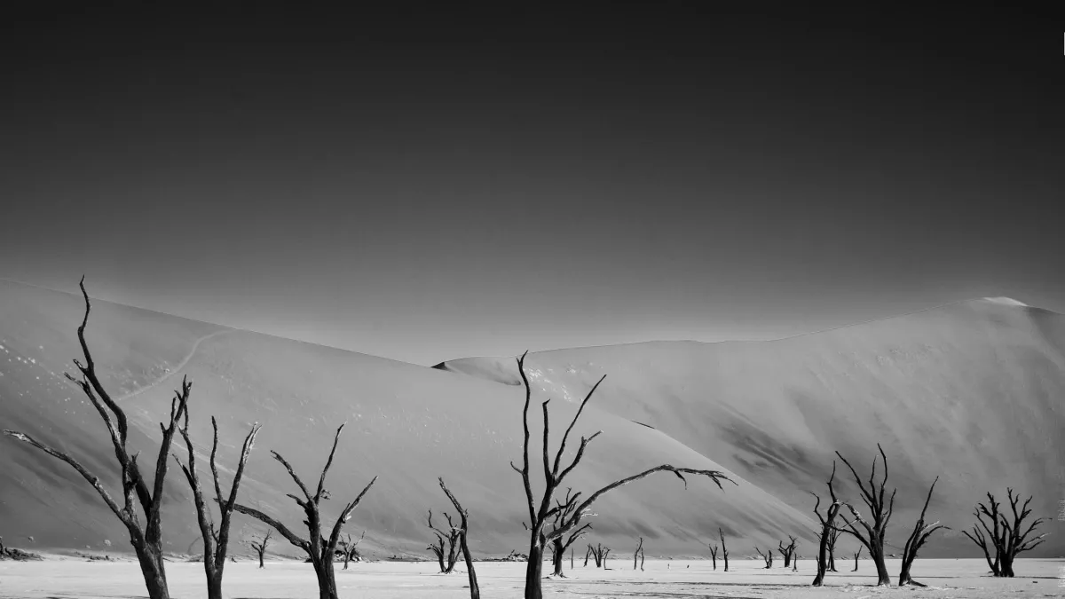 © Vincent Nguyen / Outside Films 360@