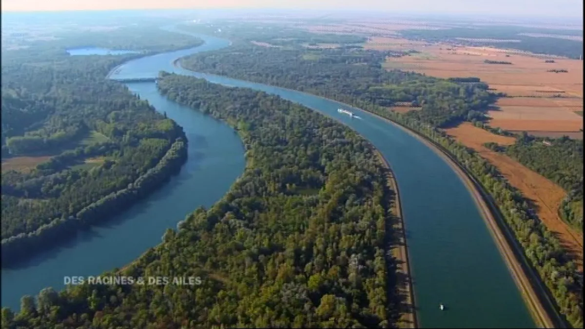 rhin rhin