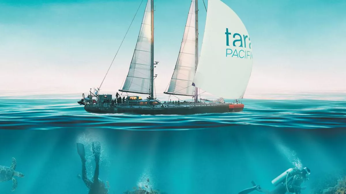 ©La niak/ Fondation Tara expeditions TARA EXPEDITIONS