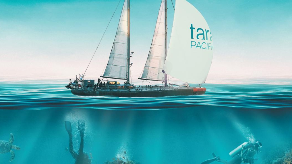 TARA EXPEDITIONS