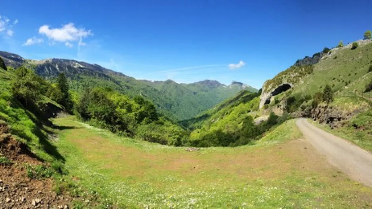 Le Piémont Le Piémont