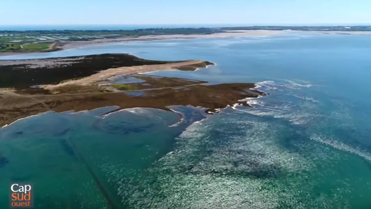 L'île de Ré L'île de Ré