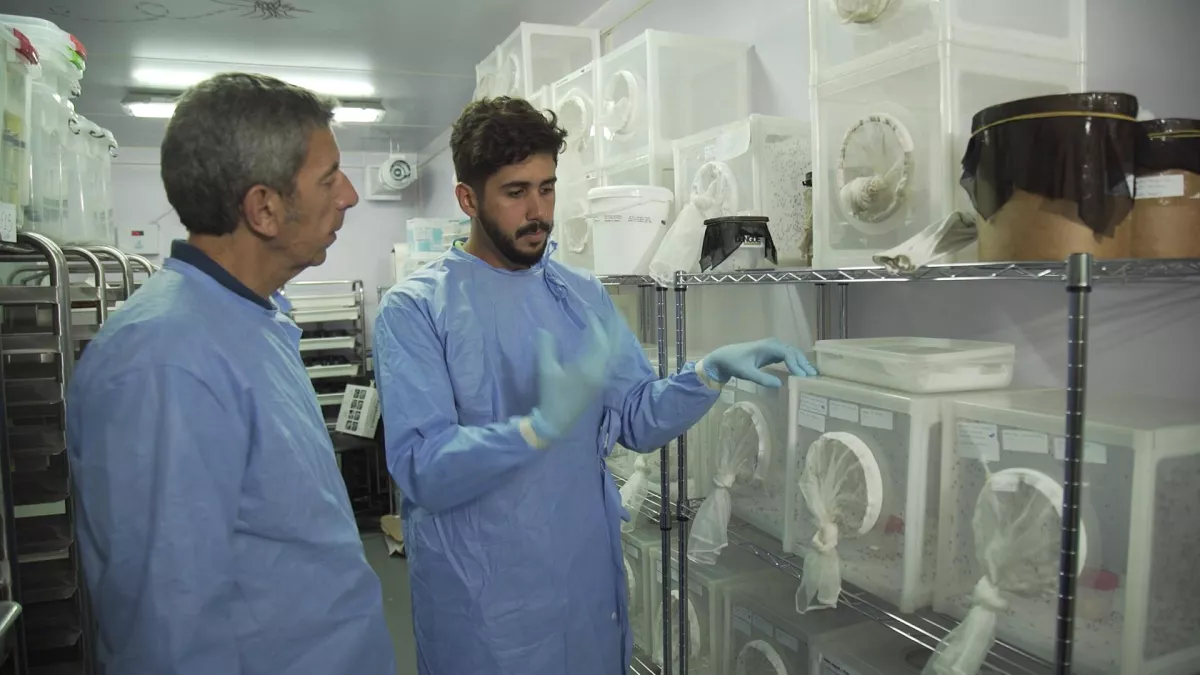 AVENTURES DE MEDECINE : VAINCRE LES EPIDEMIES AVENTURES DE MEDECINE : VAINCRE LES EPIDEMIES