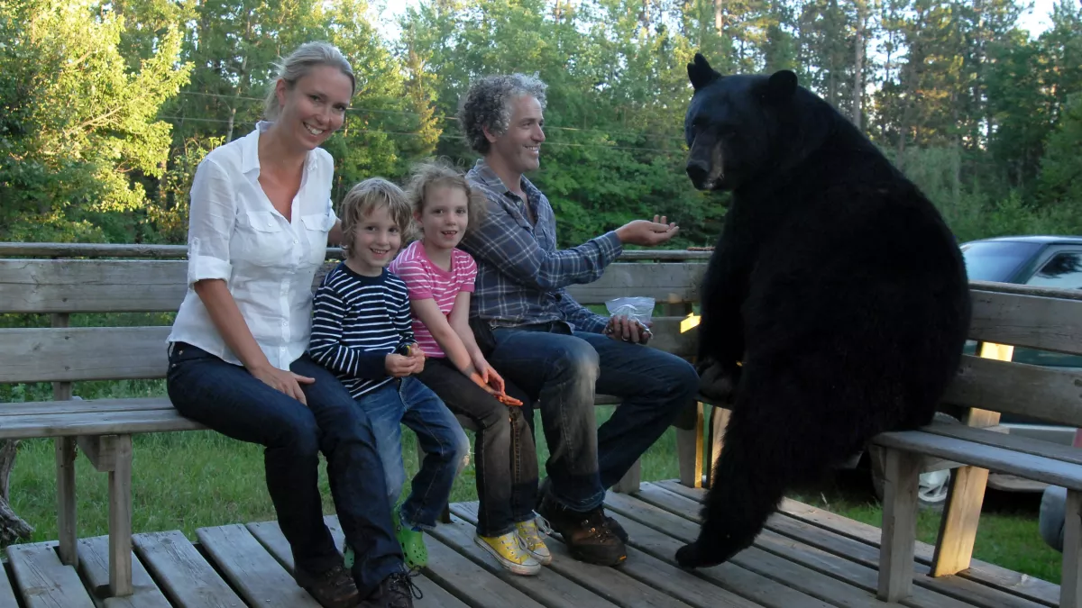 SEUL AU MILIEU DES OURS